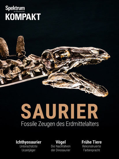 Spektrum Kompakt - Saurier main product photo
