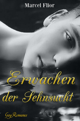 Erwachen der Sehnsucht: Gay Romance