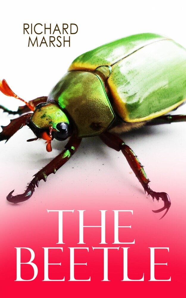THE BEETLE main product photo