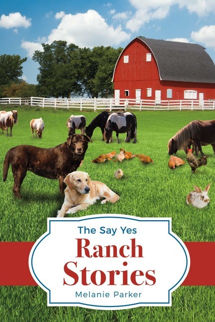 The Say Yes Ranch Stories main product photo