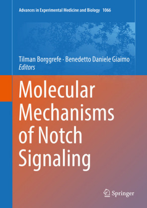 Molecular Mechanisms of Notch Signaling