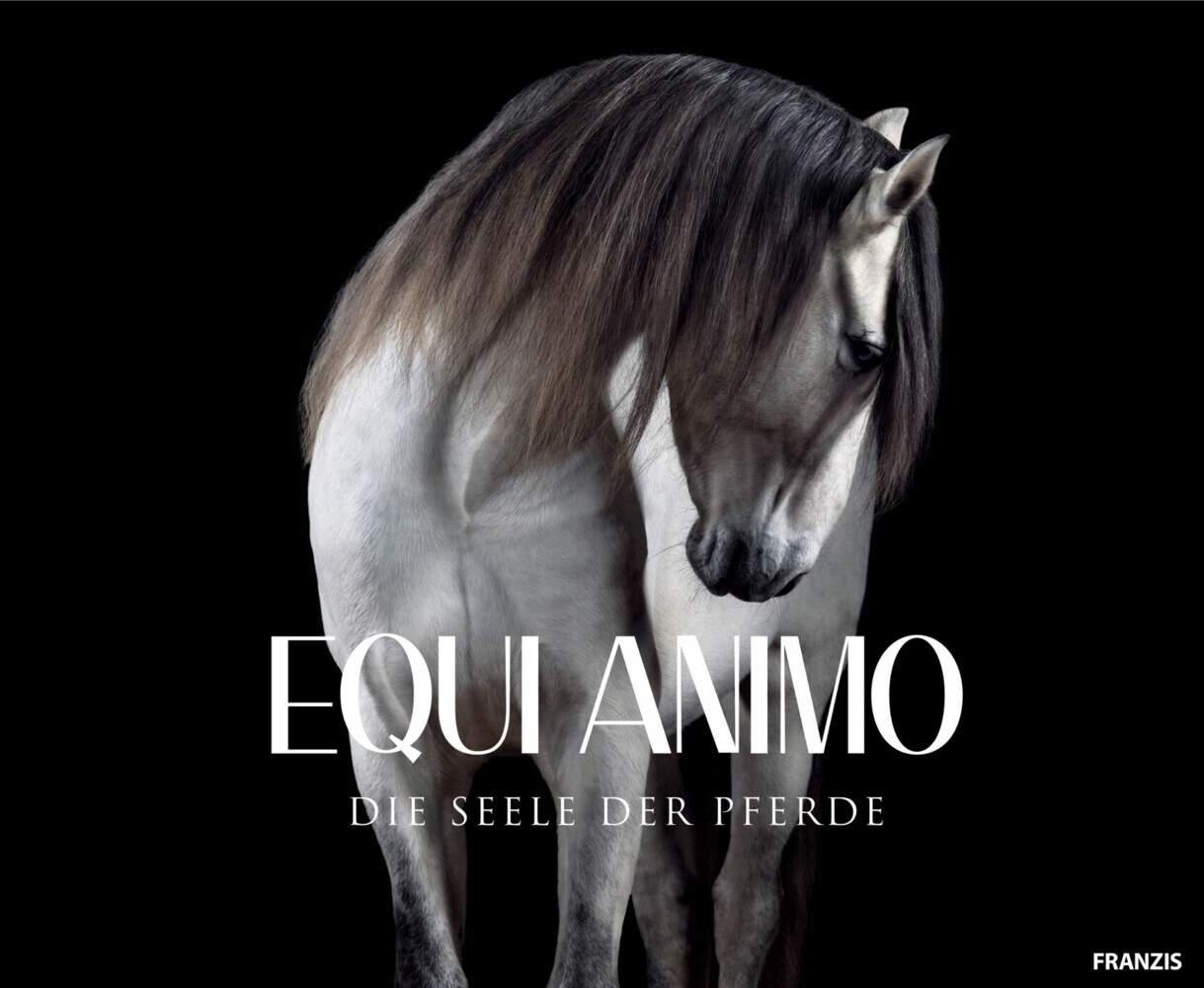 EQUI Animo main product photo