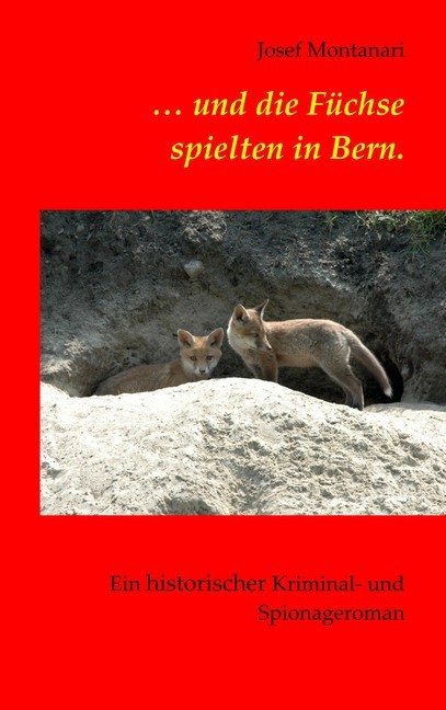 ... und die Füchse spielten in Bern. main product photo