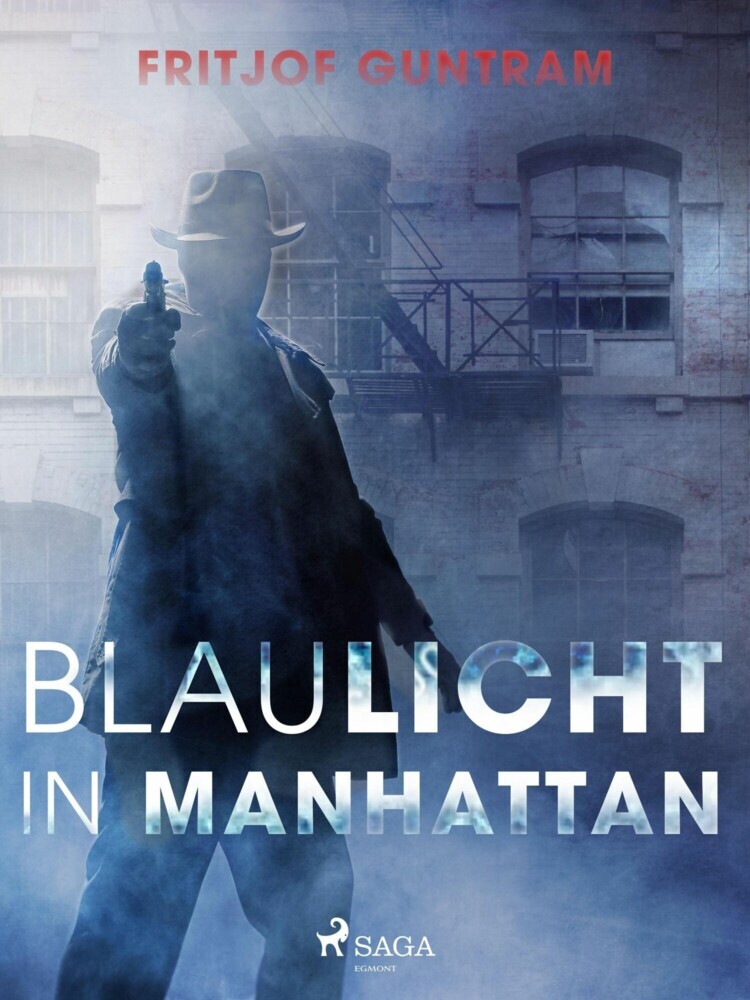 Blaulicht in Manhattan main product photo