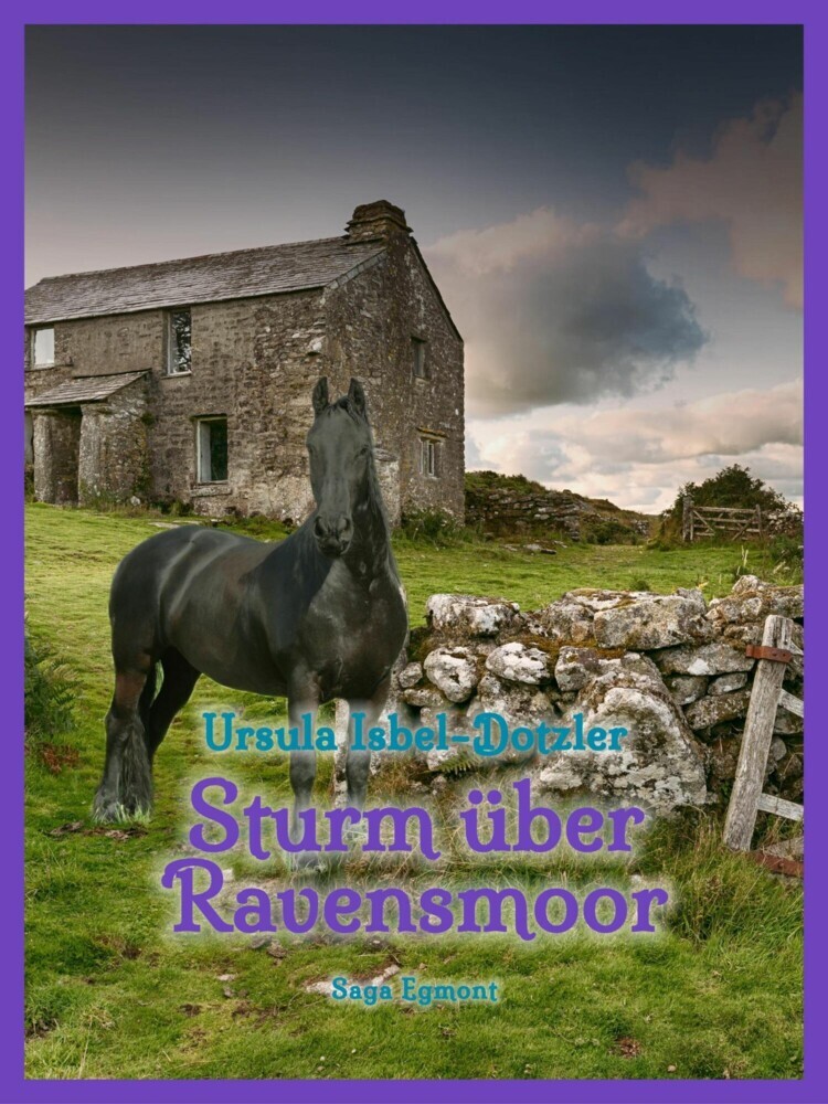Sturm über Ravensmoor main product photo