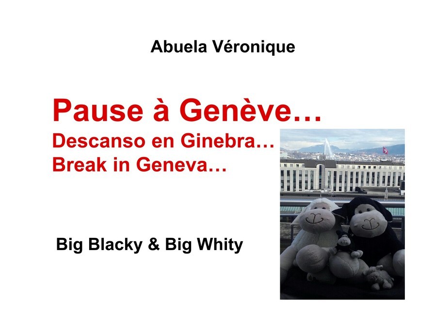 Pause à Genève main product photo