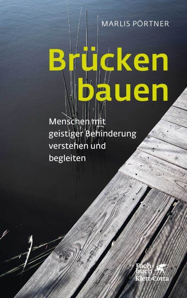 Brücken bauen (Konzepte der Humanwissenschaften) main product photo