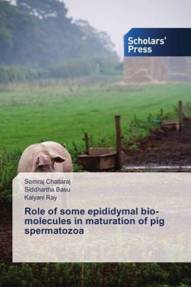 Role of some epididymal bio-molecules in maturation of pig spe...