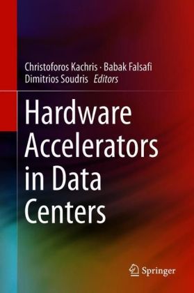 Hardware Accelerators in Data Centers