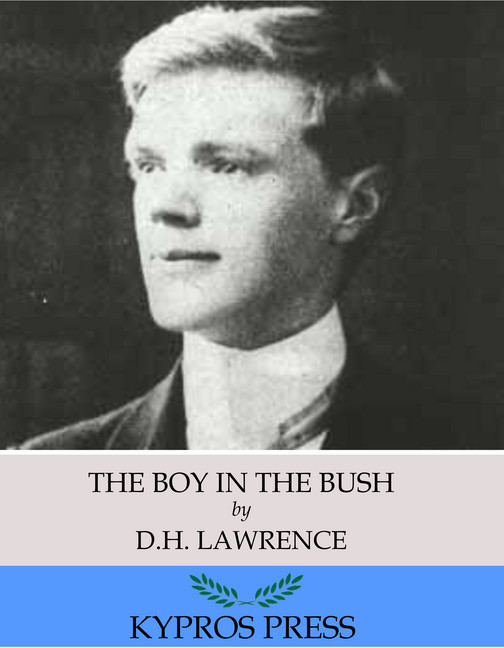 The Boy in the Bush main product photo