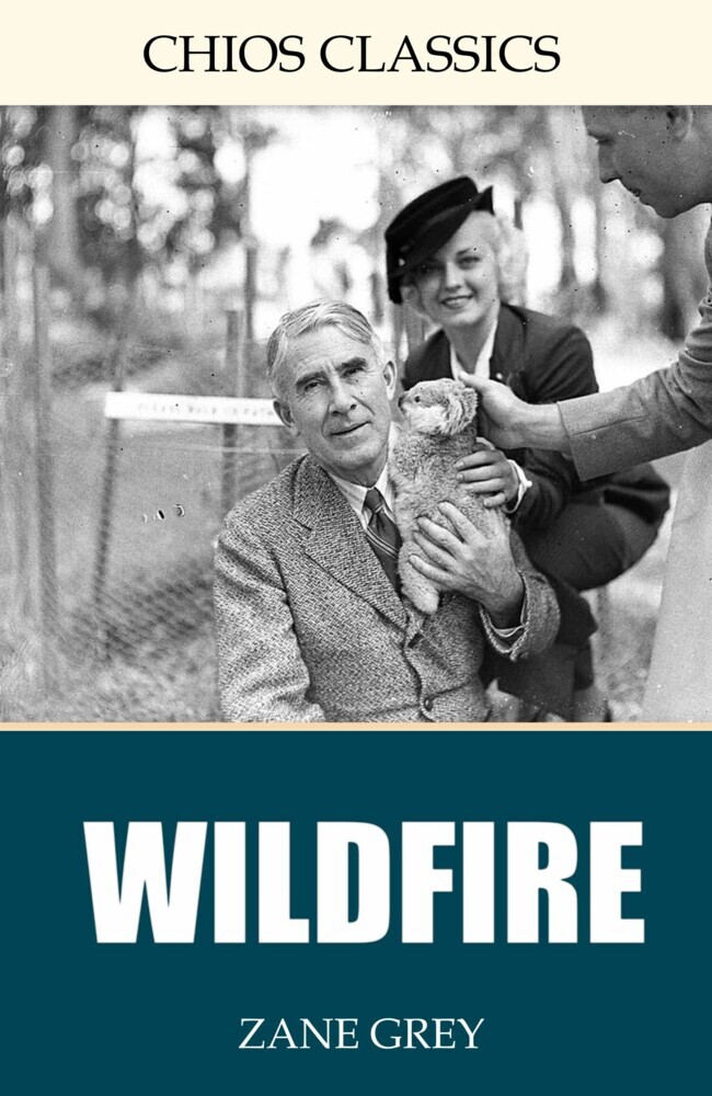 Wildfire main product photo