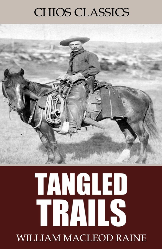 Tangled Trails: A Western Detective Story main product photo