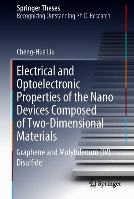 Electrical and Optoelectronic Properties of the Nanodevices Composed of Two-Dimensional Materials main product photo