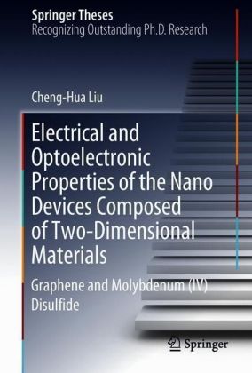 Electrical and Optoelectronic Properties of the Nanodevices Composed of Two-Dimensional Materials