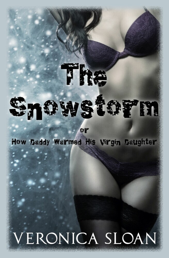 The Snowstorm main product photo