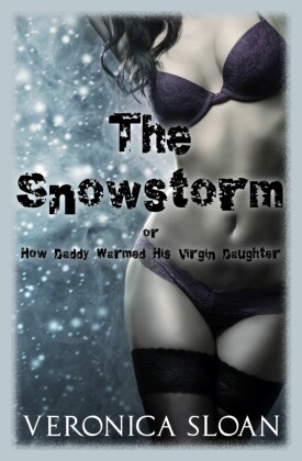The Snowstorm