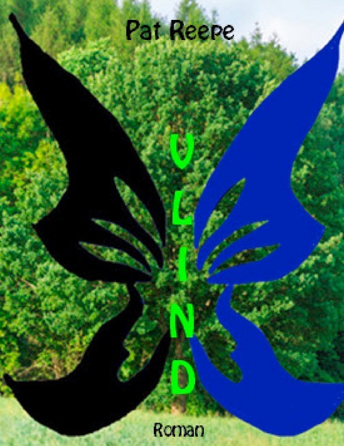 Vlind main product photo