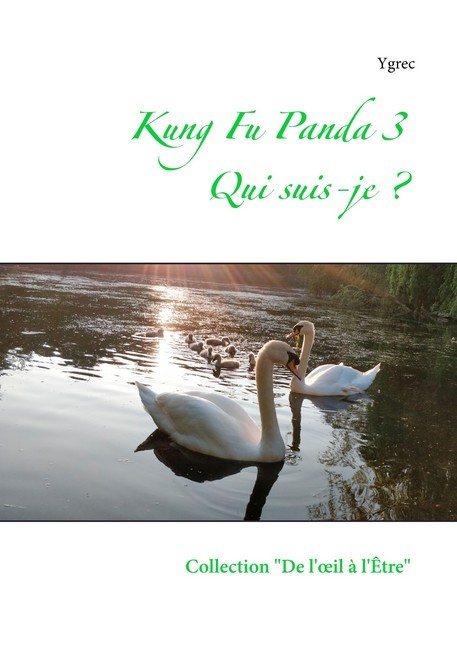 Kung Fu Panda 3 main product photo