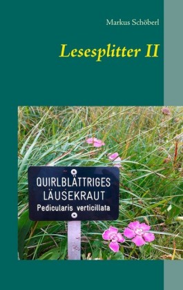 Lesesplitter II