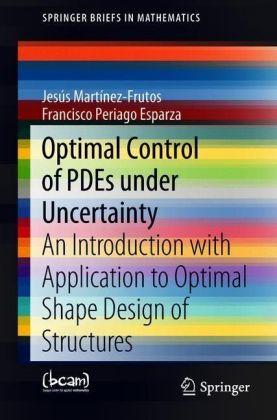 Optimal Control of PDEs under Uncertainty