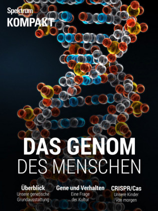 Spektrum Kompakt: Das Genom des Menschen