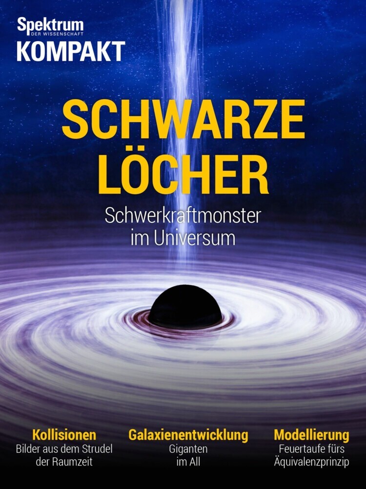 Spektrum Kompakt - Schwarze Löcher main product photo