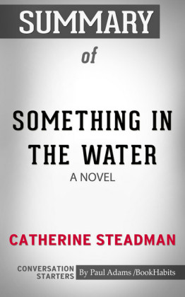 Summary of Something in the Water: A Novel