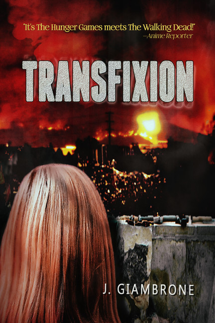 Transfixion main product photo