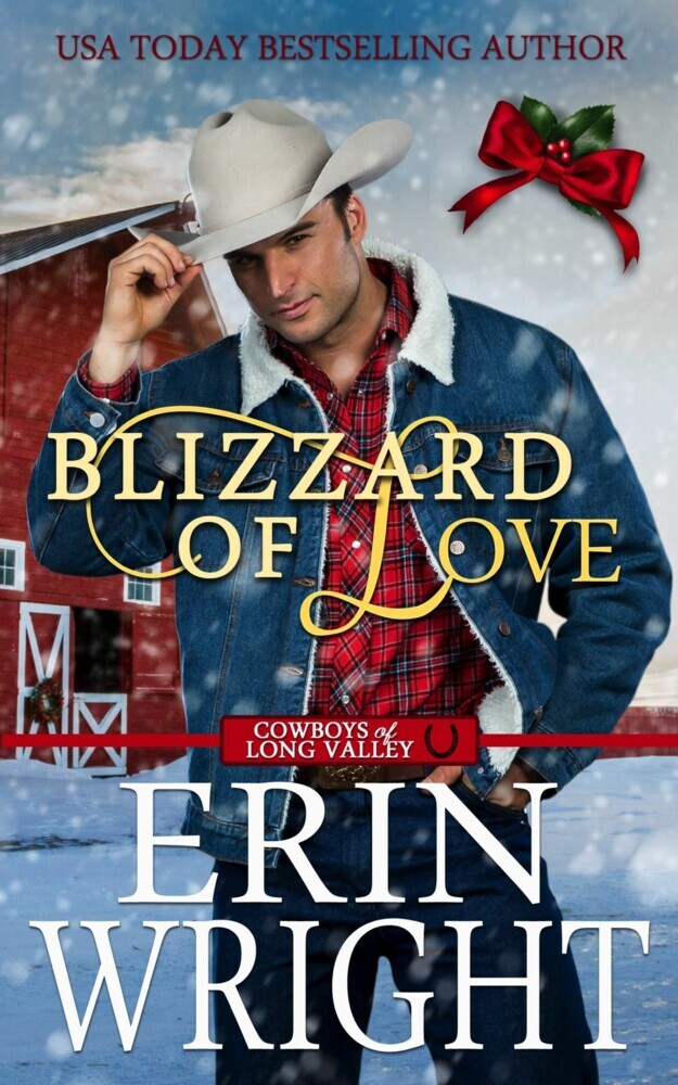 Blizzard of Love main product photo