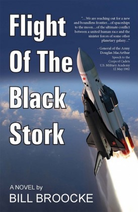 Flight of the Black Stork