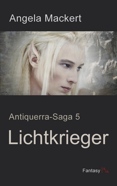 Lichtkrieger main product photo
