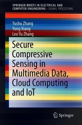 Secure Compressive Sensing in Multimedia Data, Cloud Computing and IoT