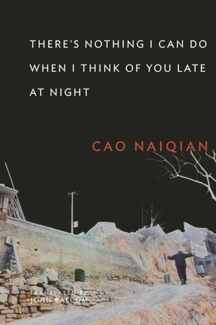 There's Nothing I Can Do When I Think of You Late at Night main product photo