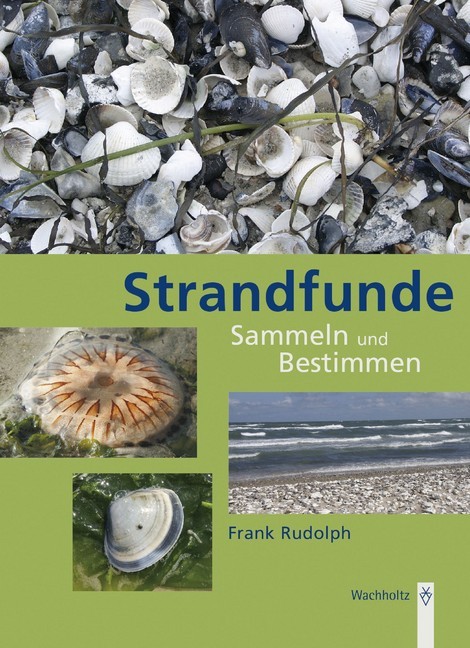 Strandfunde main product photo