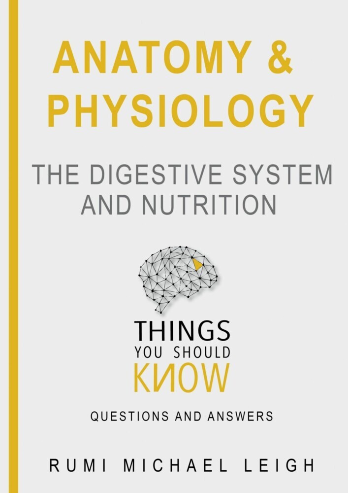 The Digestive System And Nutrition main product photo