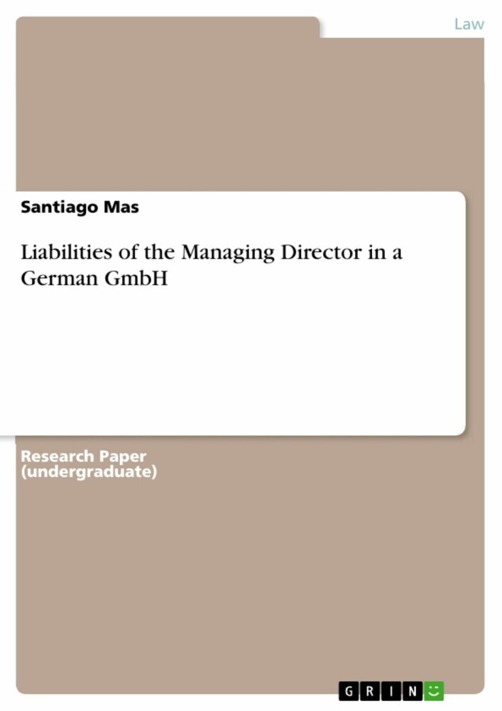 Liabilities of the Managing Director in a German GmbH main product photo