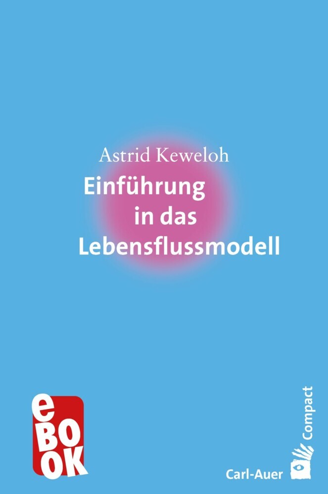 Einführung in das Lebensflussmodell main product photo