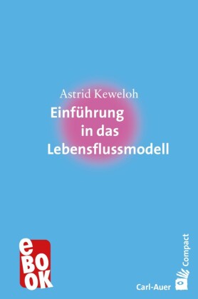 Einführung in das Lebensflussmodell