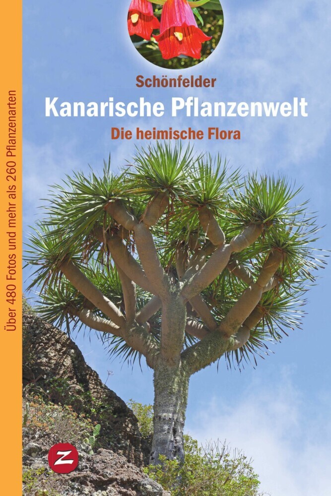 Kanarische Pflanzenwelt main product photo