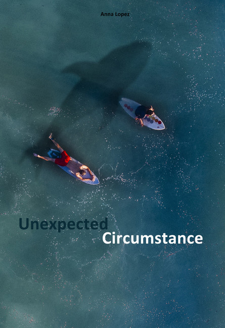 Unexpected Circumstance main product photo