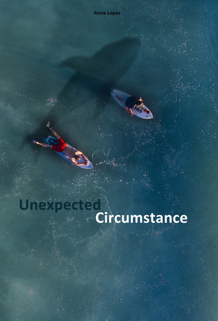 Unexpected Circumstance main product photo