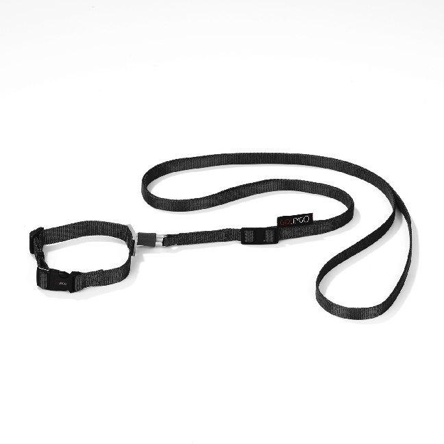 GoLeyGo Hundeleine & Halsband S schwarz main product photo