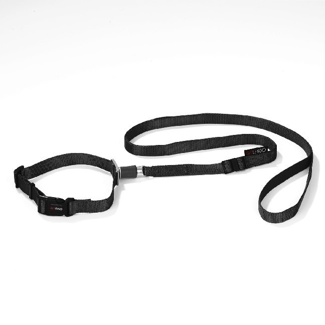 GoLeyGo Hundeleine & Halsband L schwarz main product photo