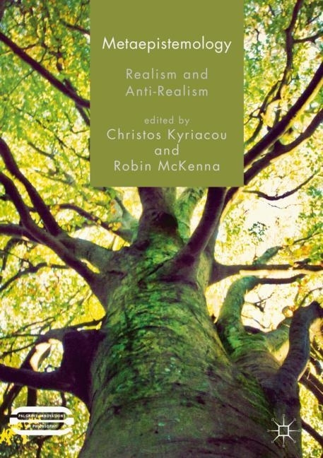 Metaepistemology main product photo