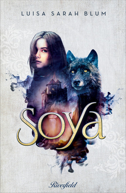 Soya main product photo