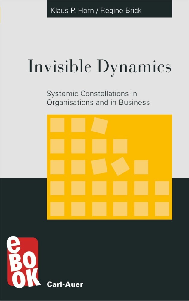 Invisible Dynamics main product photo