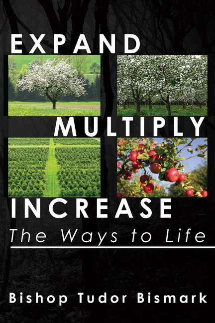 Expand, Multiply, Increase: The Ways to Life main product photo