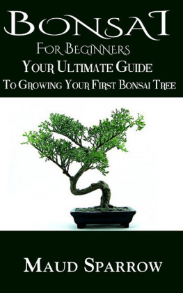 Bonsai For Beginners