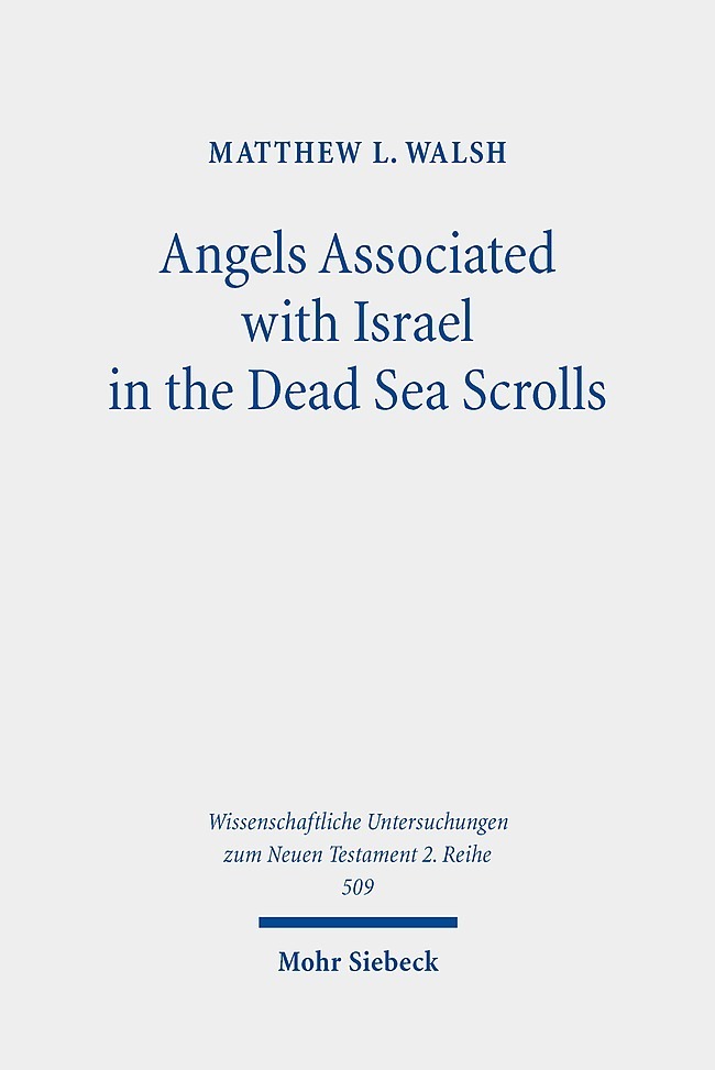 Angels Associated with Israel in the Dead Sea Scrolls main product photo