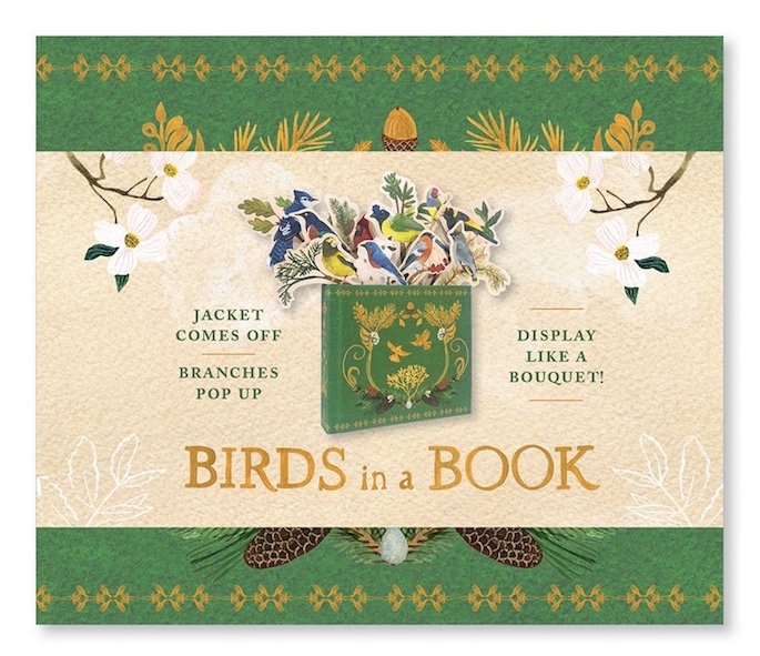 Birds in a Book (A Bouquet in a Book): Jacket Comes Off. Branches Pop Up. Display Like a Bouquet! main product photo